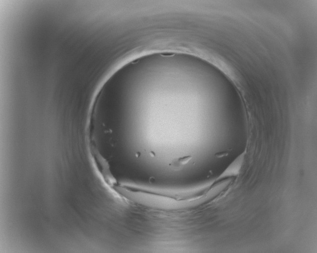 X0000068861536200605192004