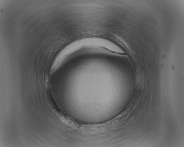 X0000068860025200605261742