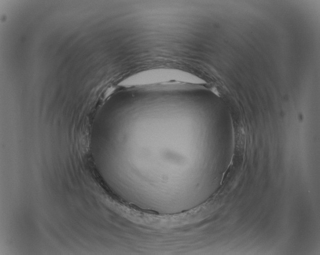 X0000068860043200605261741