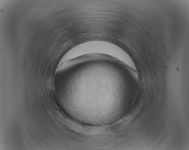 X0000068860044200605261741