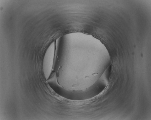 X0000068860045200605261741