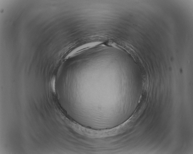 X0000068860047200605261741