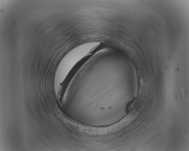 X0000068860048200605261741