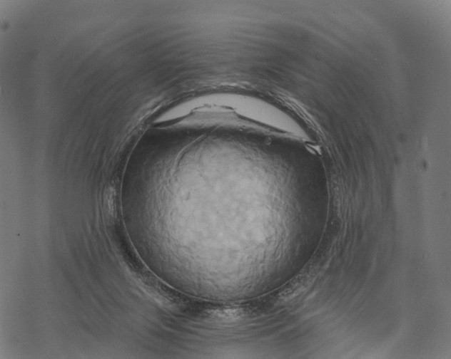 X0000068860071200605261741