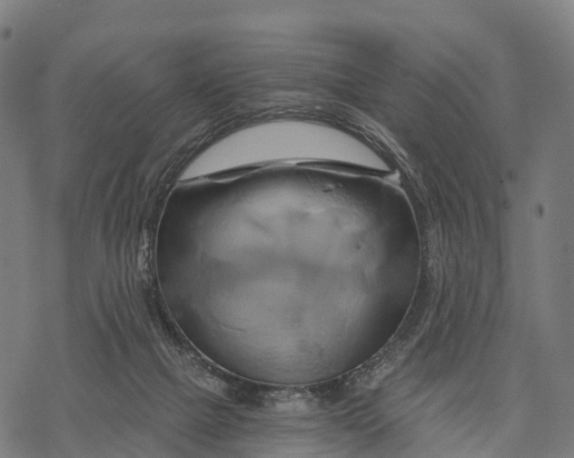 X0000068860073200605261741
