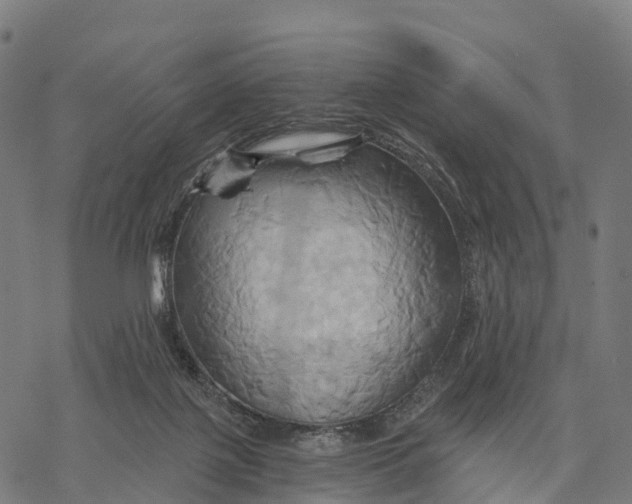 X0000068860075200605261741