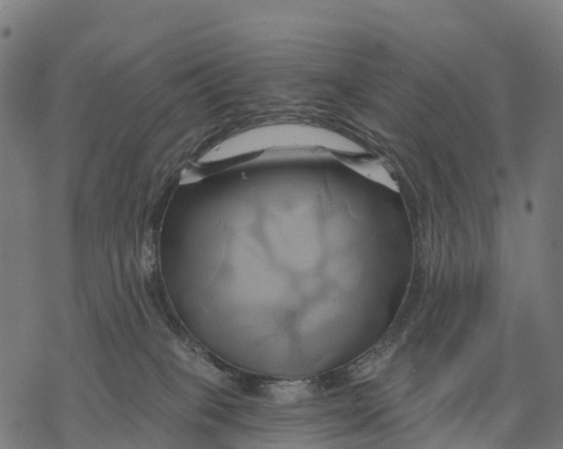X0000068860085200605261741