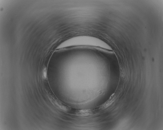 X0000068860095200605261741