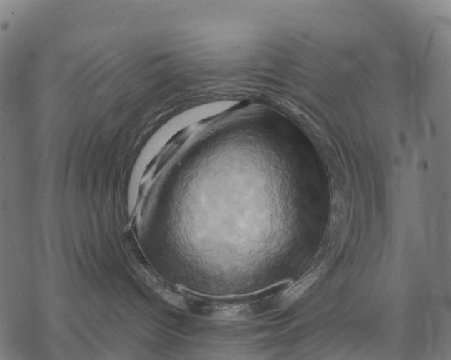 X0000068860096200605261741