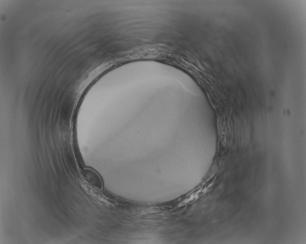 X0000068860100200605261740