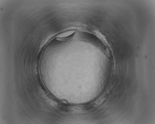X0000068860106200605261740
