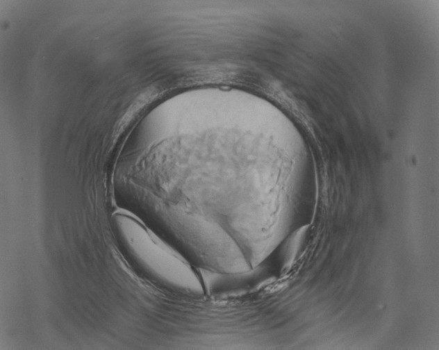 X0000068860107200605261740