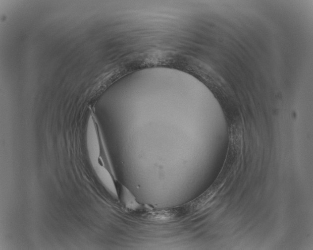 X0000068860127200605261740