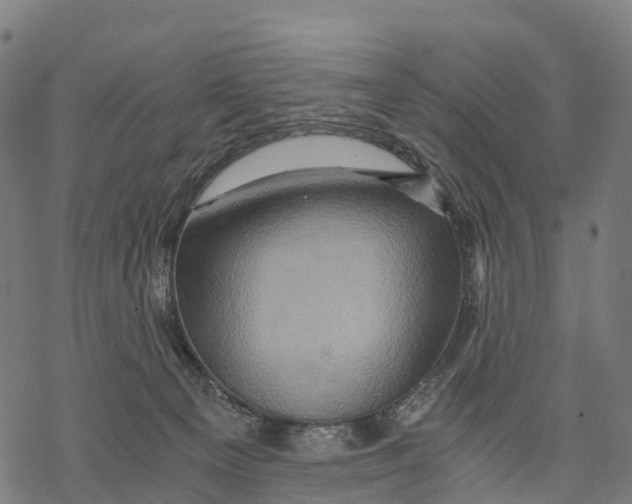 X0000068860129200605261740