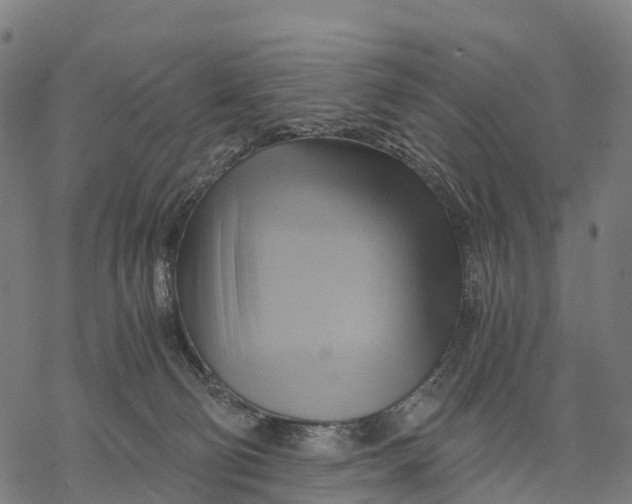 X0000068860130200605261740
