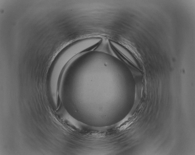 X0000068860156200605261739