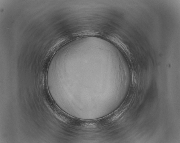 X0000068860157200605261739