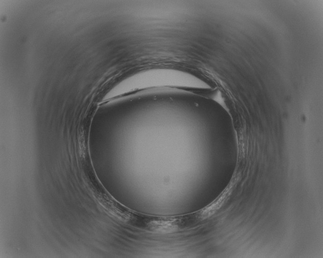 X0000068860170200605261739