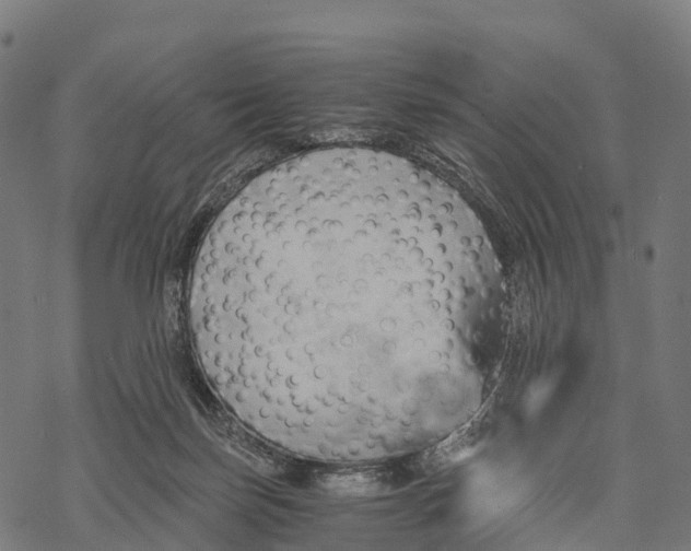 X0000068860171200605261739