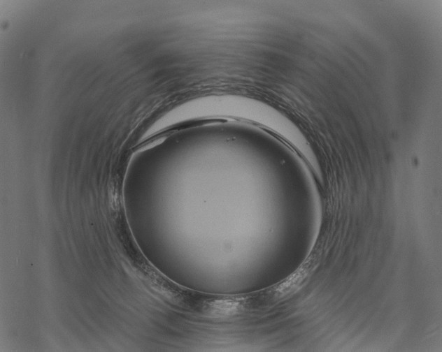 X0000068860176200605261739