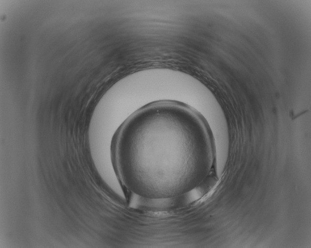 X0000068860184200605261740