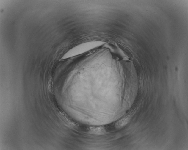 X0000068860185200605261740