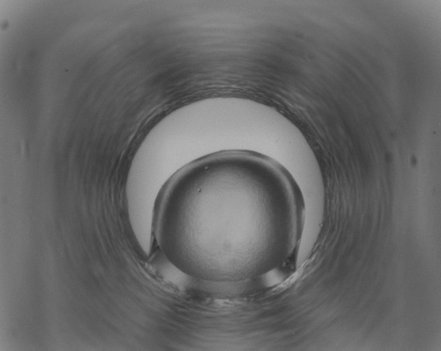 X0000068860188200605261740