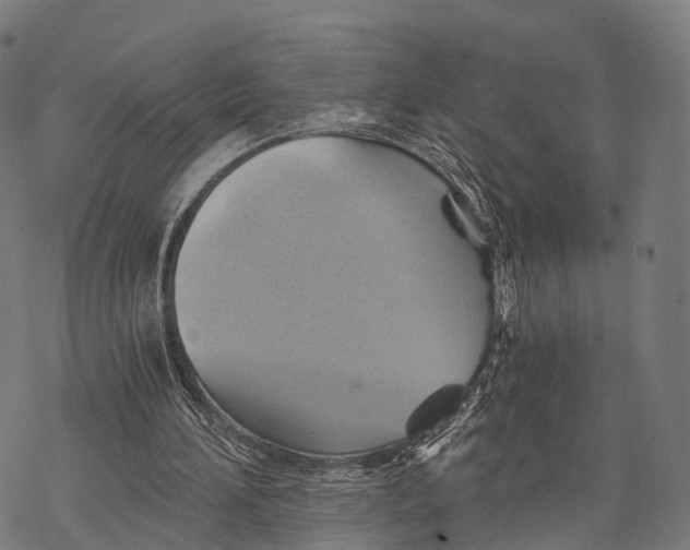 X0000068860196200605261739