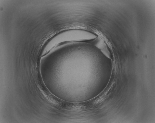 X0000068860201200605261739