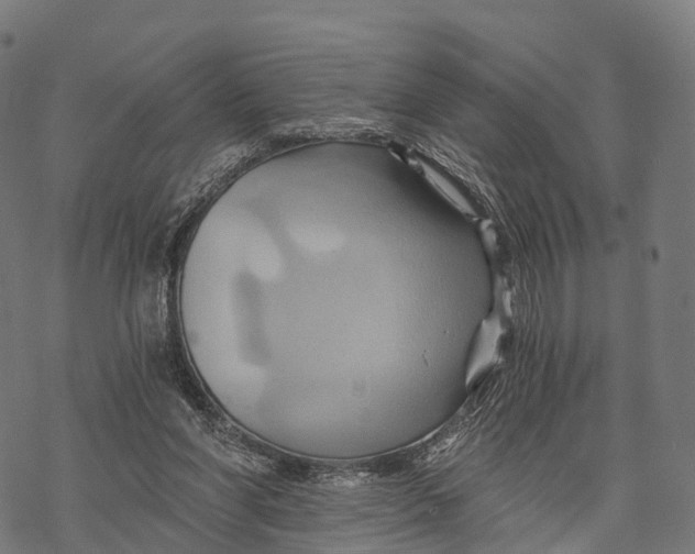 X0000068860206200605261739