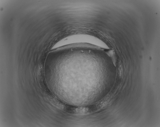 X0000068860225200605261738