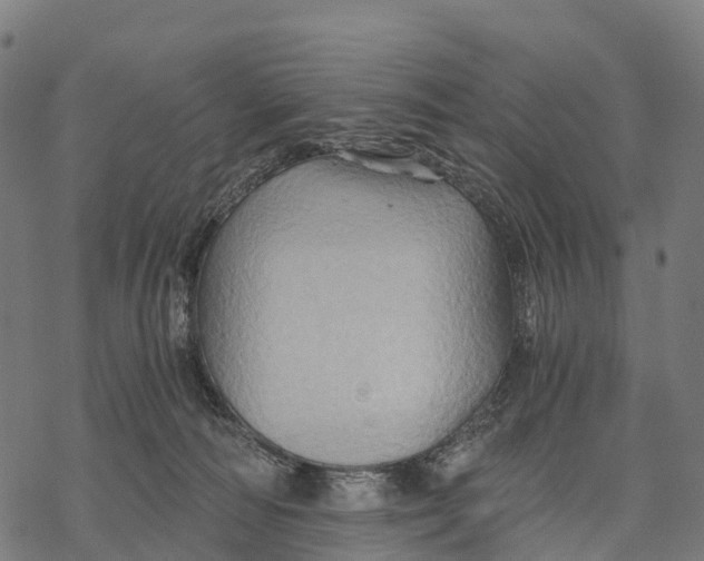 X0000068860226200605261738