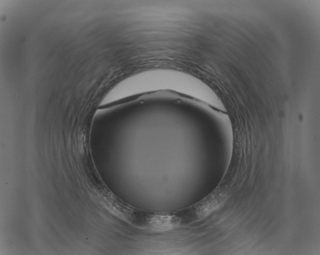 X0000068860227200605261738
