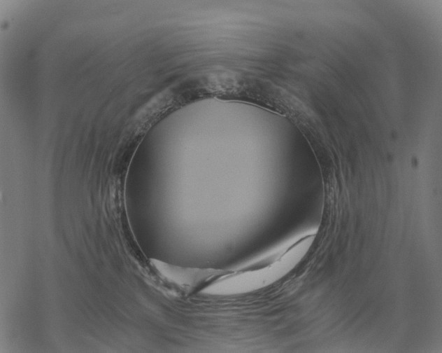 X0000068860233200605261738