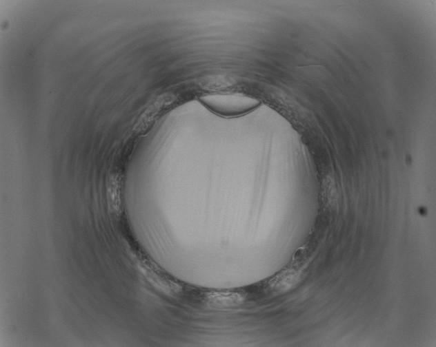 X0000068860234200605261738