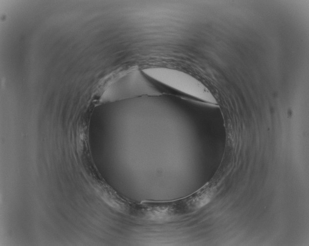 X0000068860235200605261738
