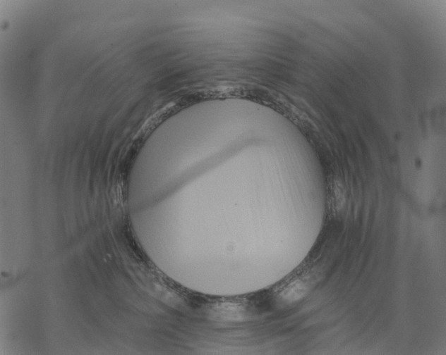 X0000068860236200605261738