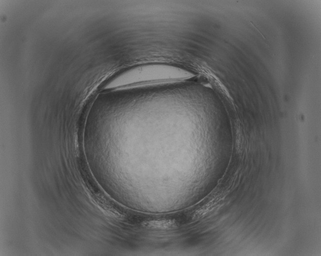 X0000068860251200605261737