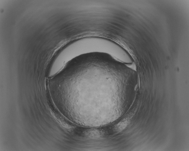 X0000068860253200605261737