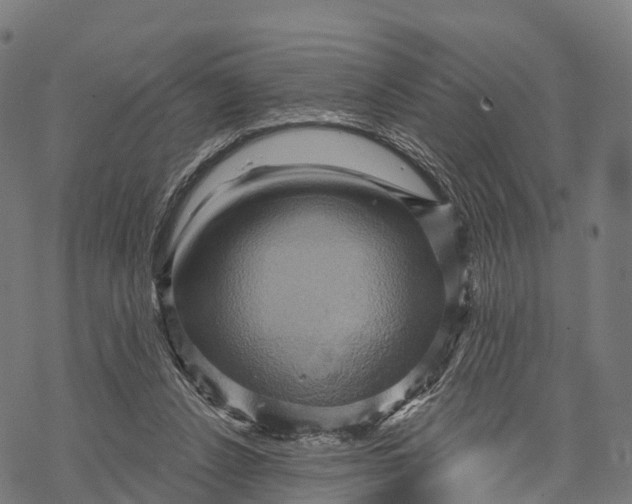 X0000068860256200605261737