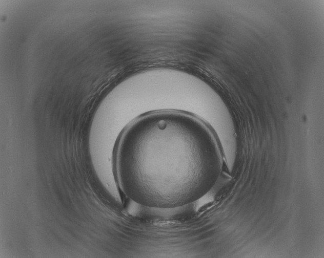 X0000068860268200605261738