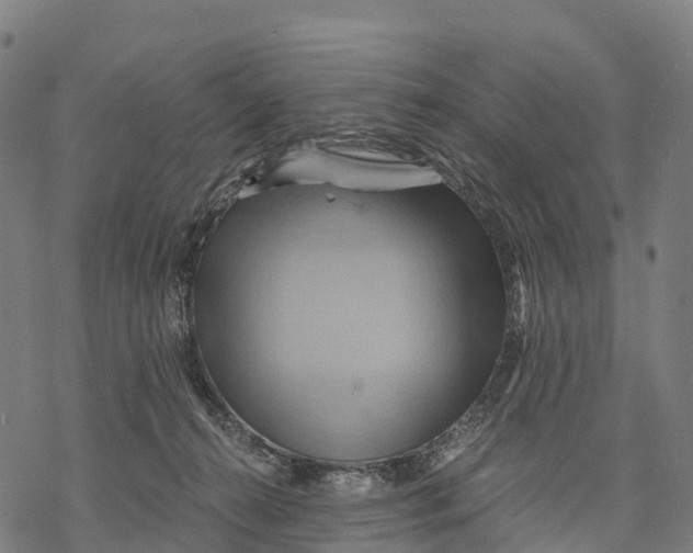 X0000068860272200605261738