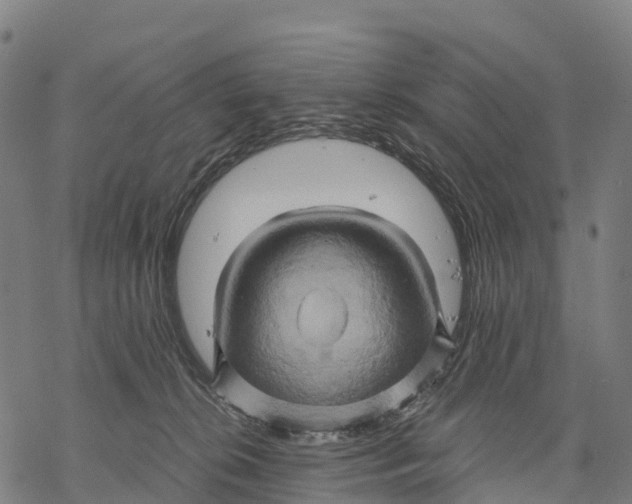 X0000068860276200605261738