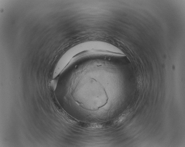 X0000068860278200605261738
