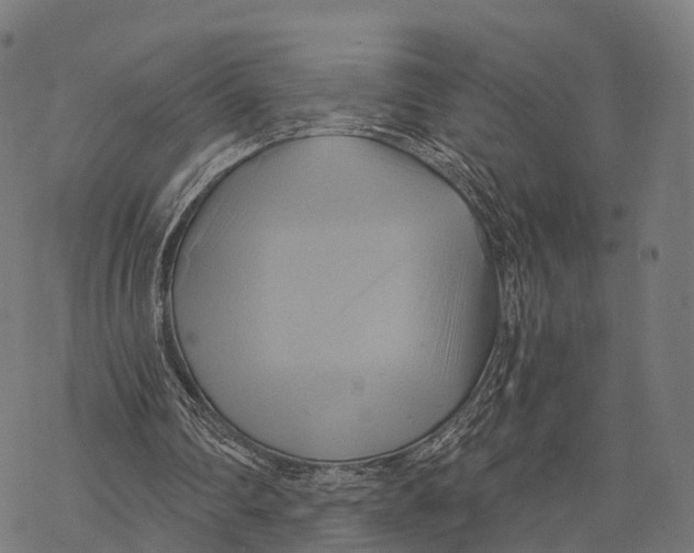 X0000068860290200605261737