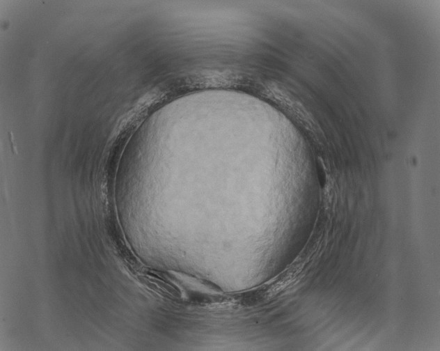 X0000068860306200605261737