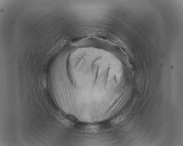 X0000068860313200605261737