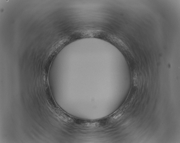 X0000068860314200605261737