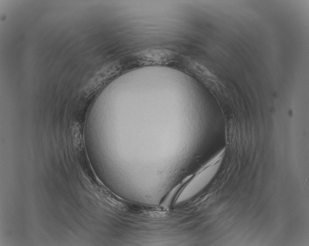X0000068860318200605261737