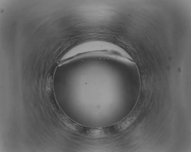 X0000068860325200605261737